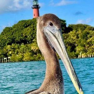 Meet your Posher, Kelli